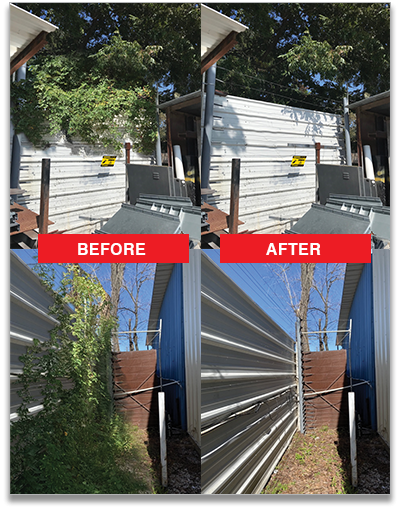 ELECTRIC GUARD DOG FENCE